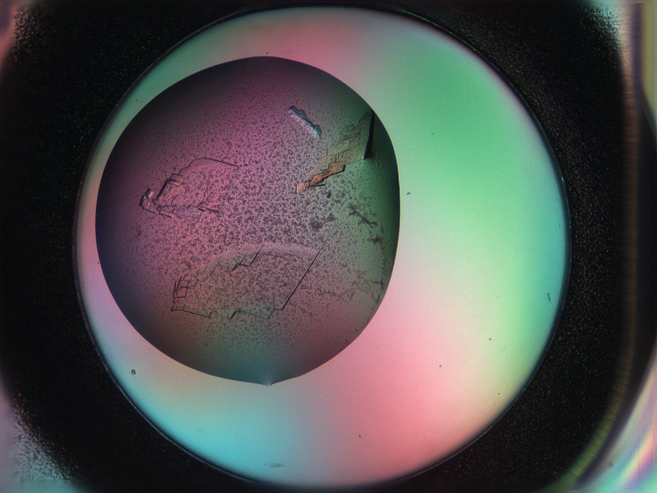 055w_G4_ImagerDefaults_8.jpg