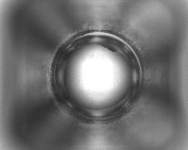 X0000046170678200502032041.png