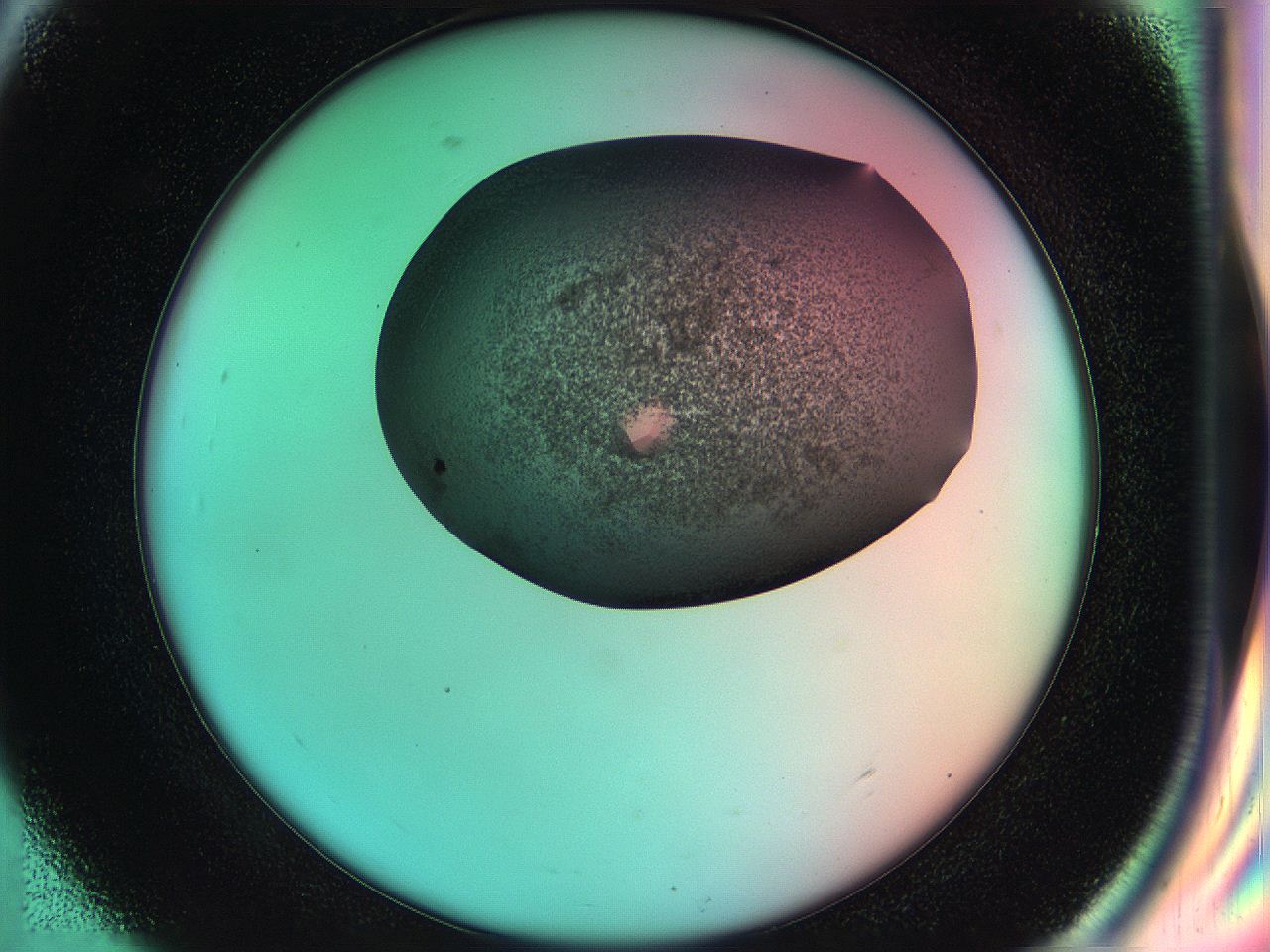 055w_H9_ImagerDefaults_8.jpg