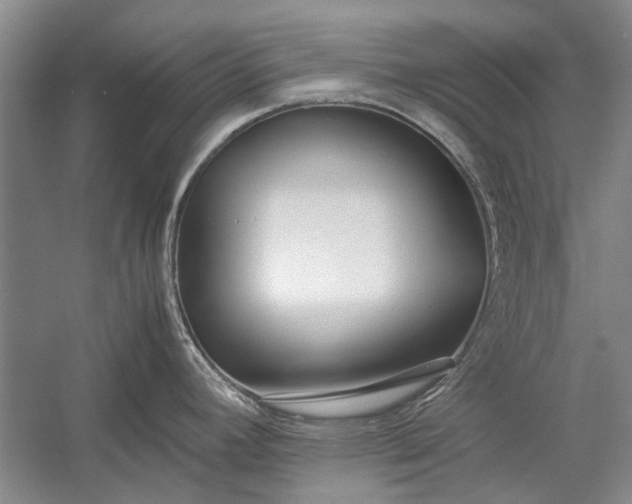 X0000055061392200508161634.png