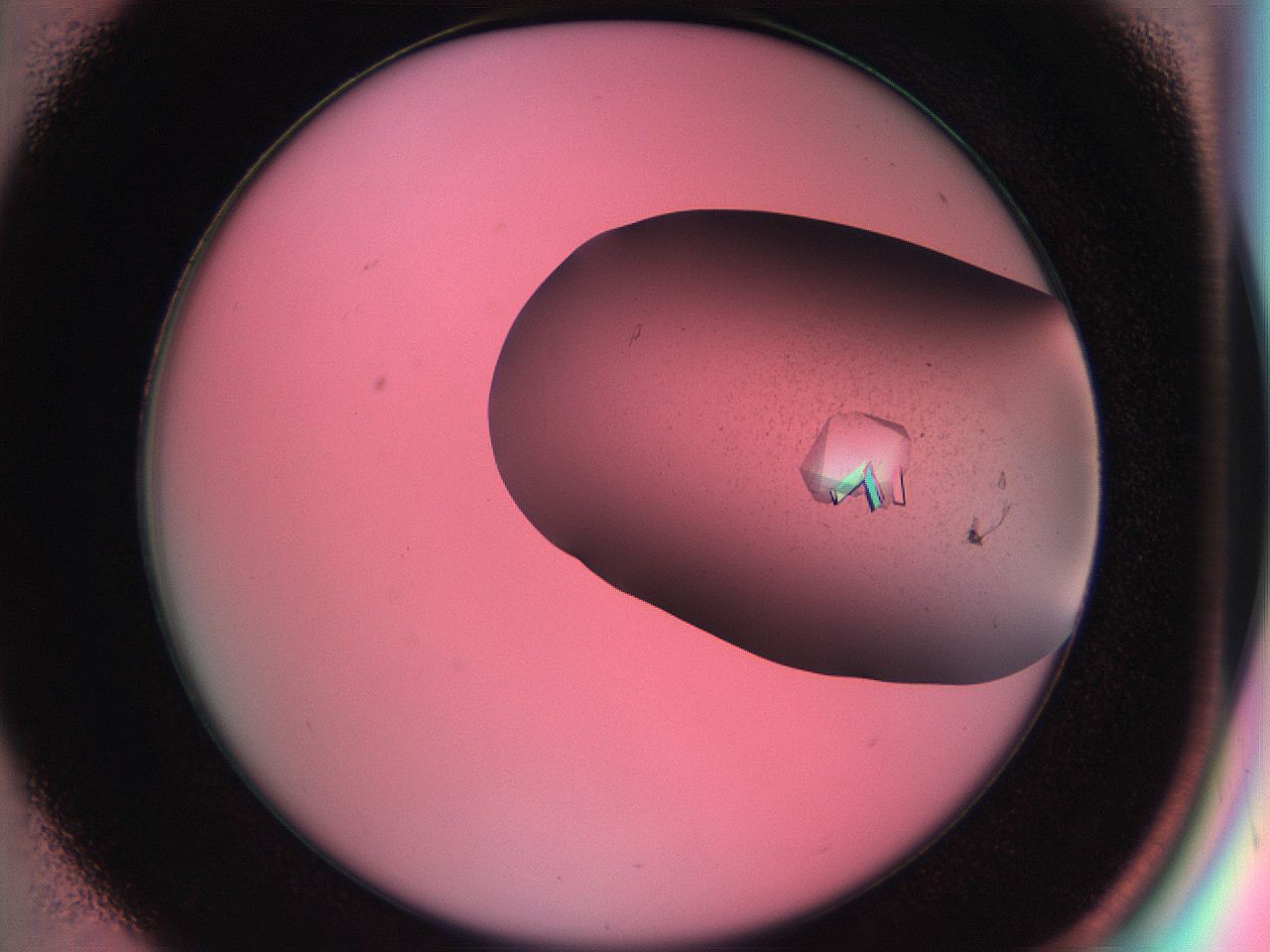 055w_D1_ImagerDefaults_8.jpg