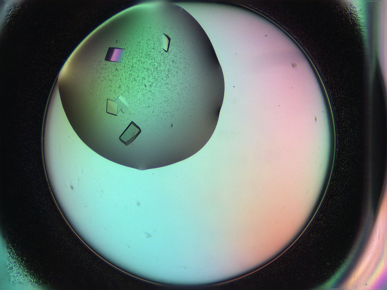 055w_F8_ImagerDefaults_9.jpg