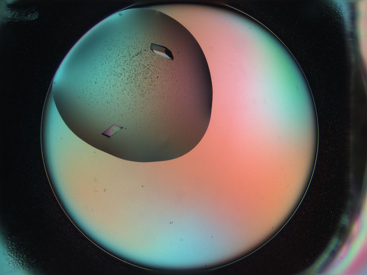 055w_F12_ImagerDefaults_9.jpg