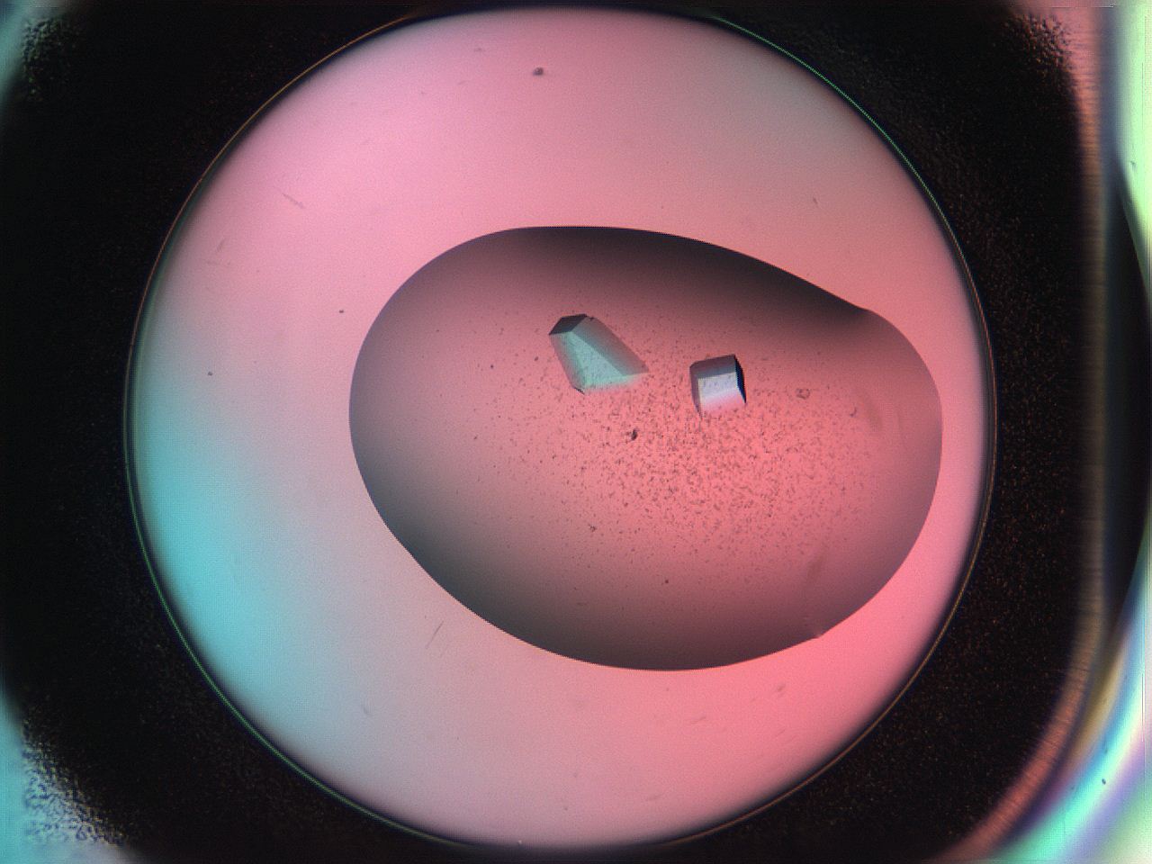055w_E8_ImagerDefaults_9.jpg