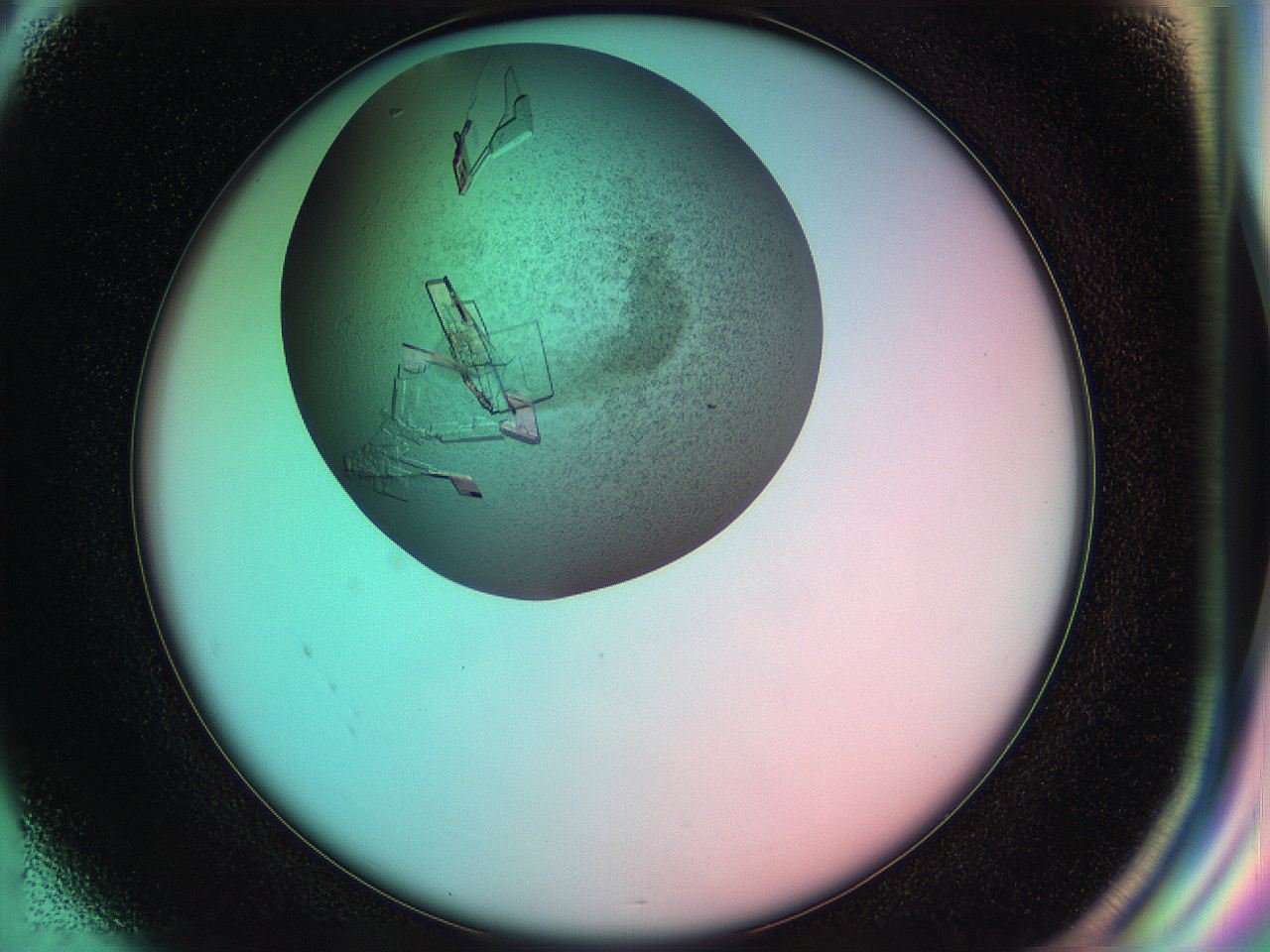 055y_G8_ImagerDefaults_7.jpg