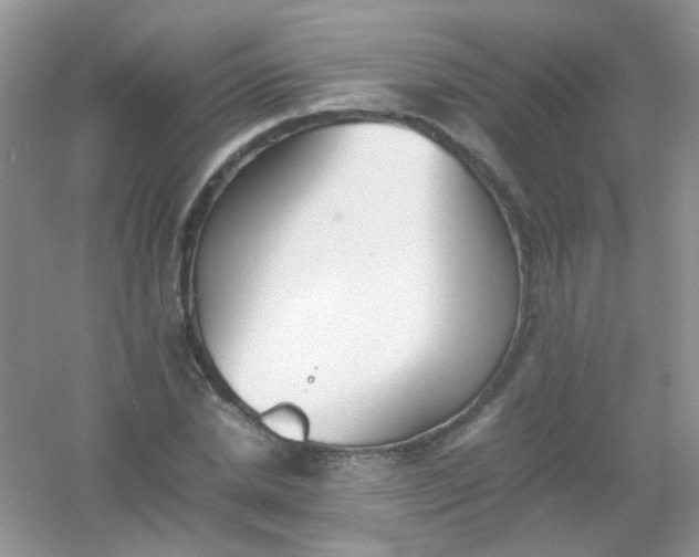 X0000054330830200508111917.png