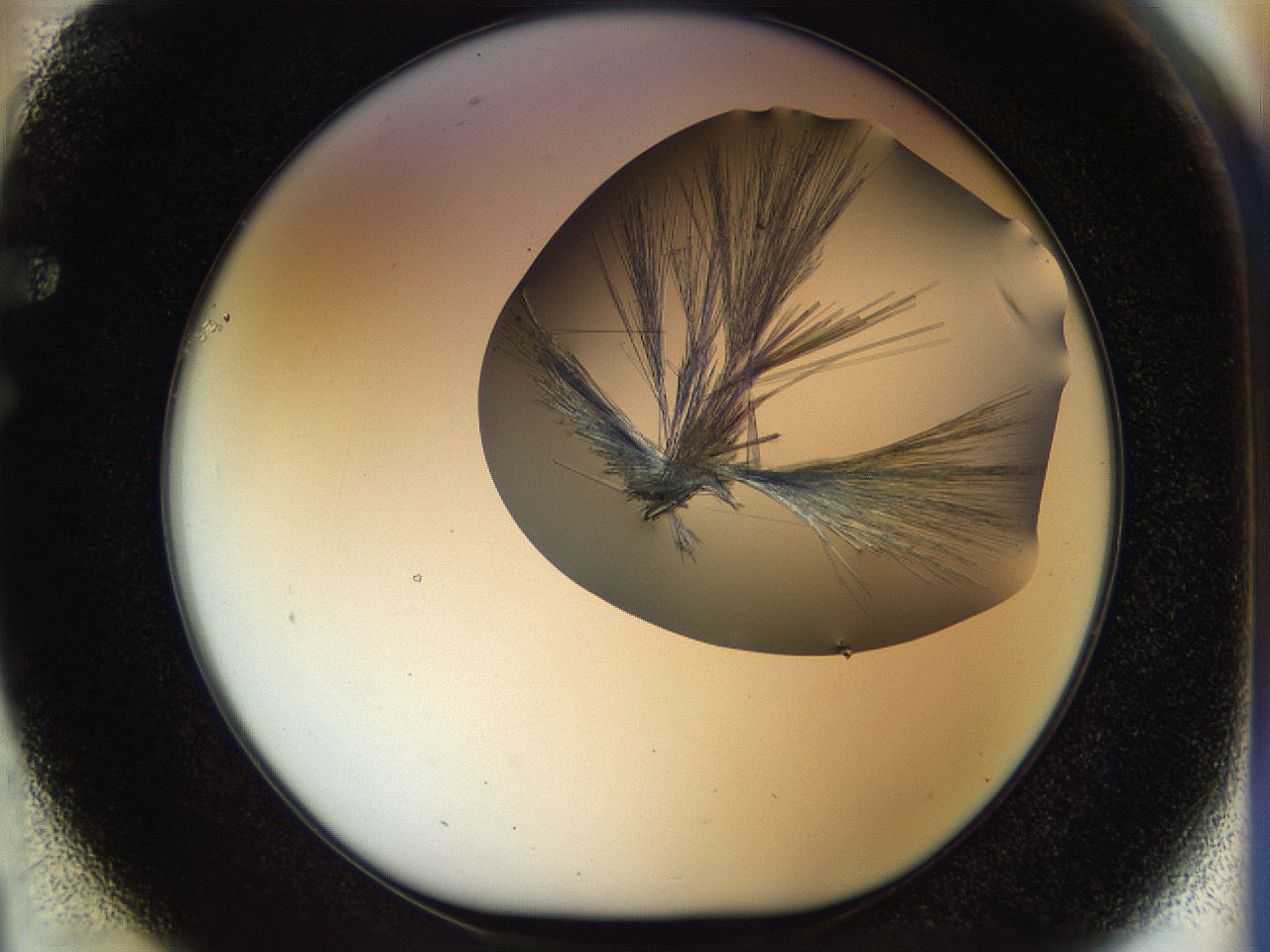 0566_F1_ImagerDefaults_9.jpg
