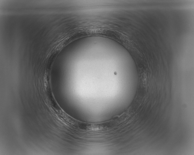 X0000055210746200508301321.png