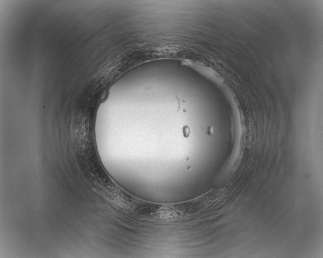 X0000055060608200508161647.png
