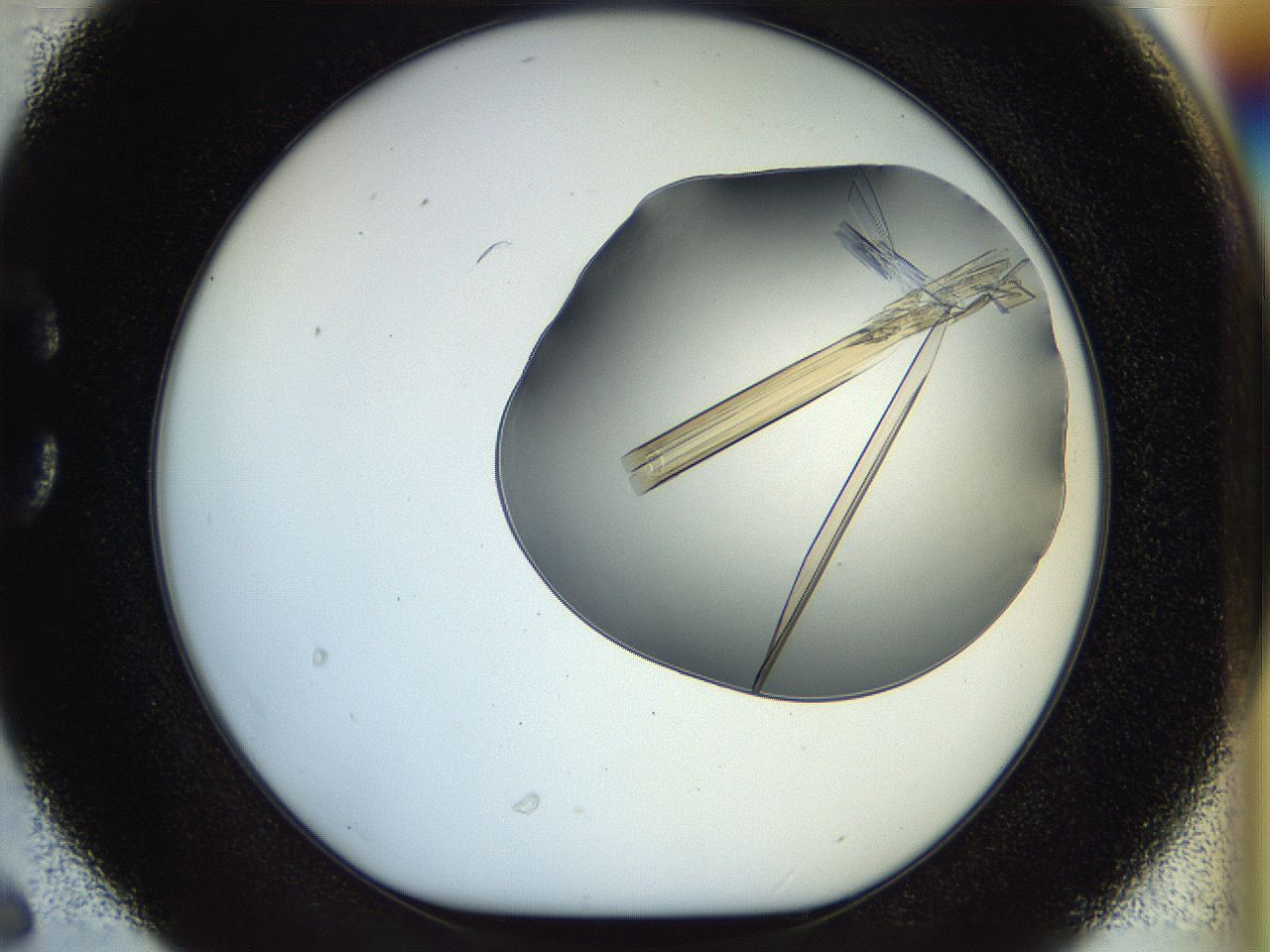 0566_C6_ImagerDefaults_8.jpg