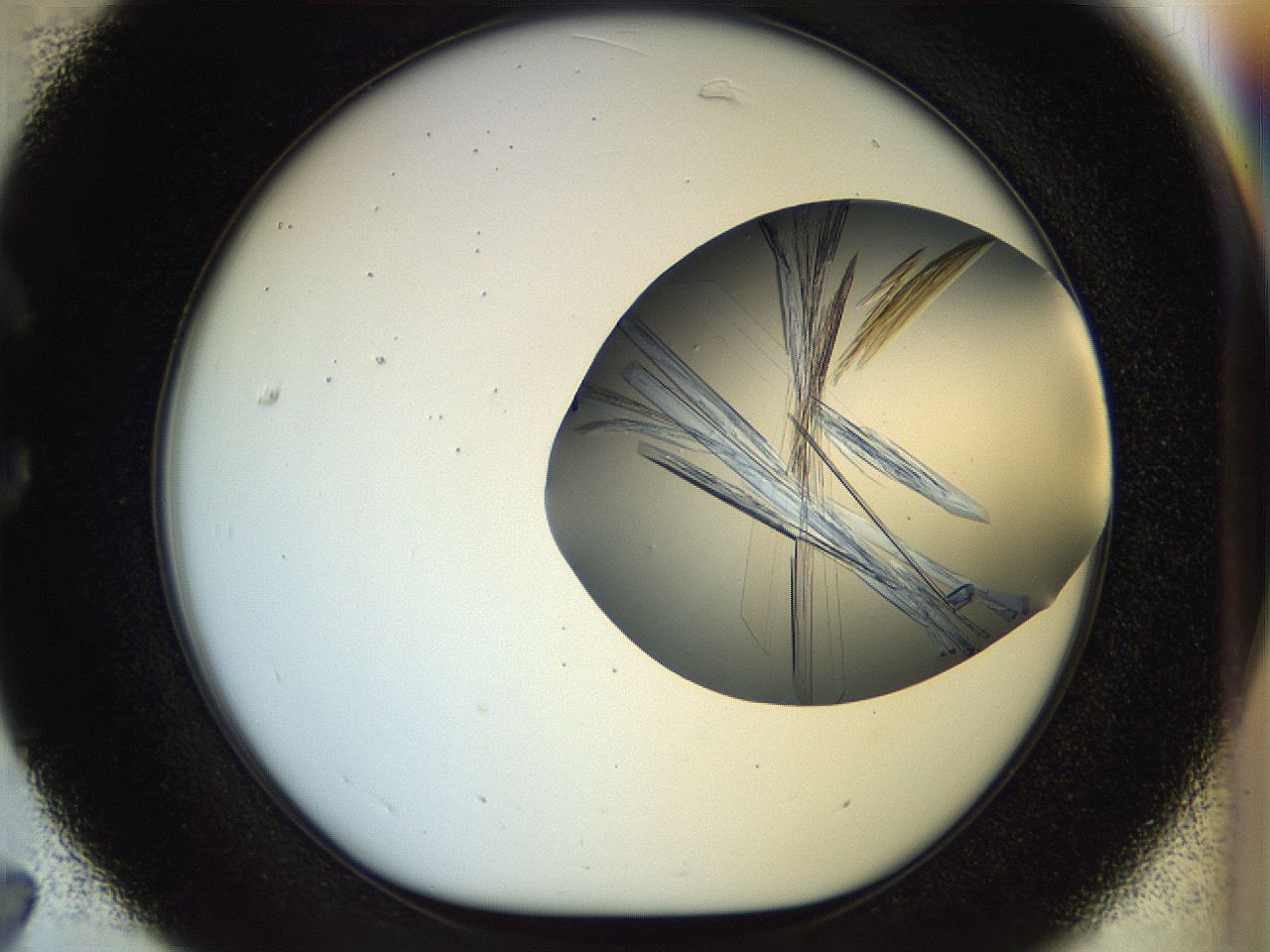 0566_C7_ImagerDefaults_9.jpg