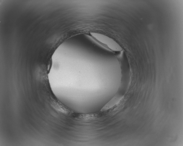 X0000055210384200508301328.png