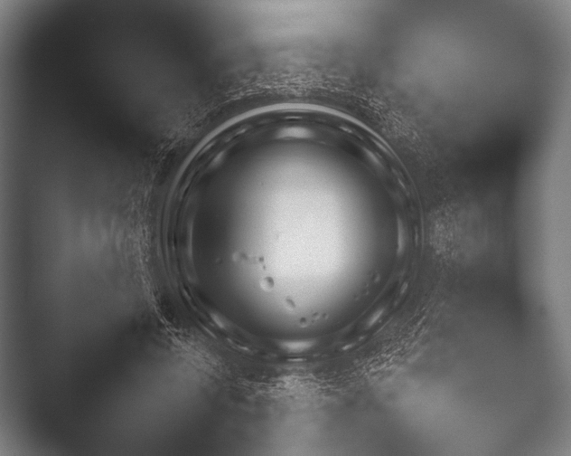 X0000052020544200507181629.png