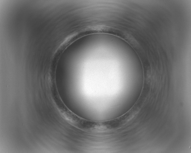 X0000054330256200508111926.png