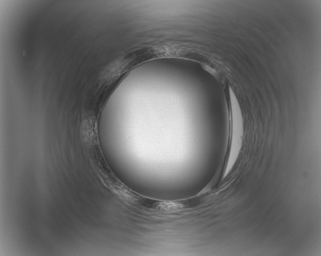 X0000055060429200508161650.png