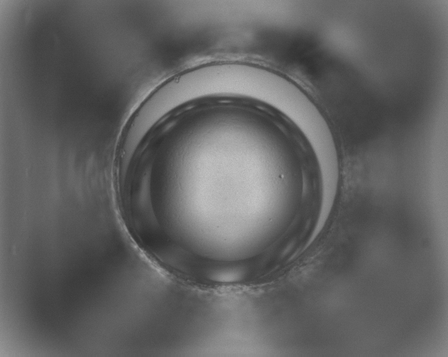 X0000054970906200509051501.png