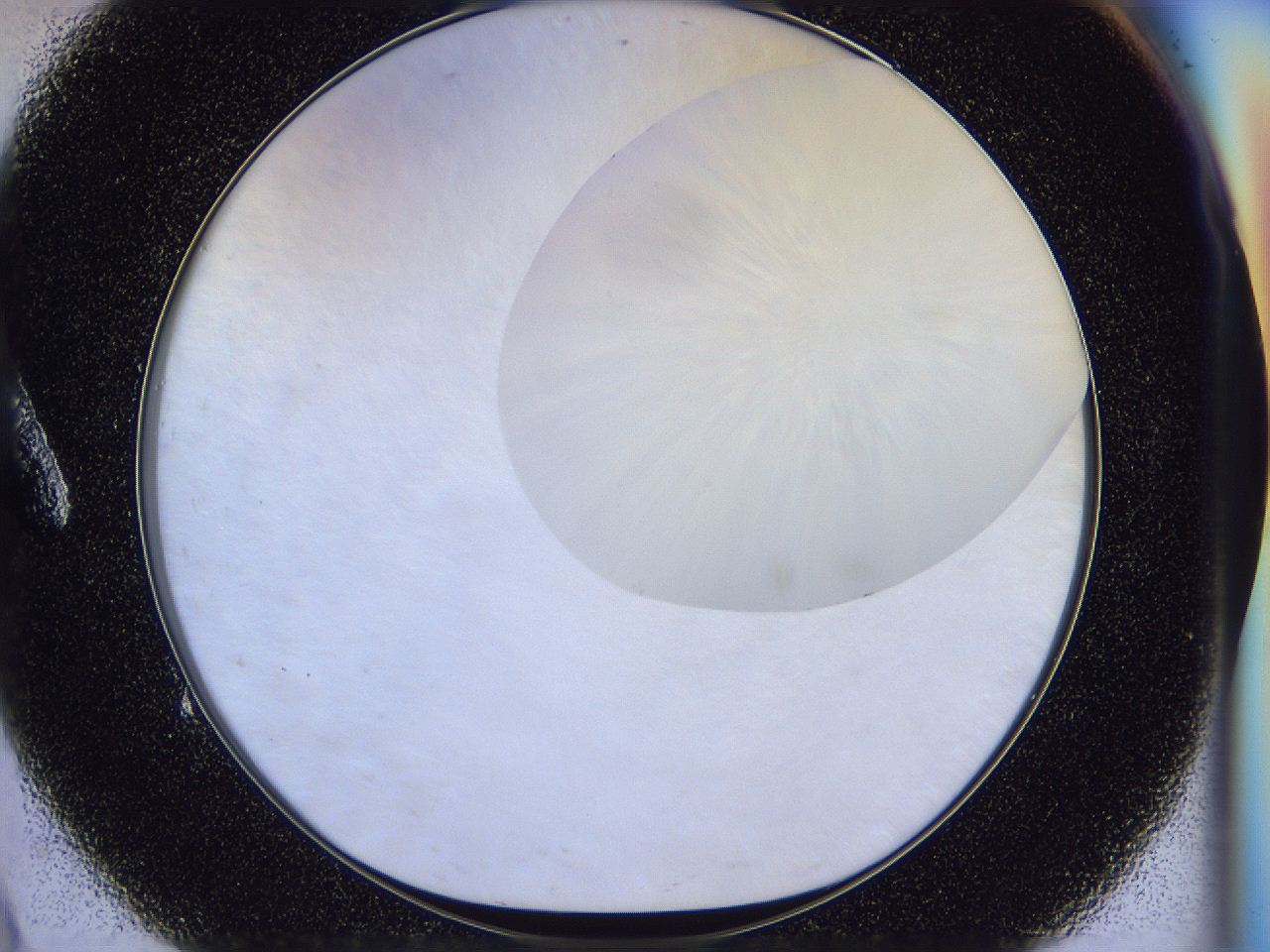 056b_A9_ImagerDefaults_0.jpg