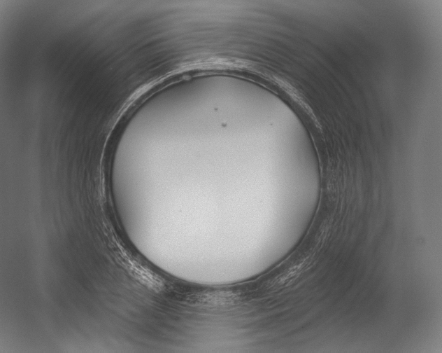 X0000055210837200508301319.png