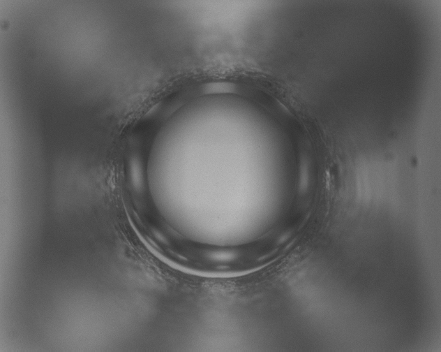 X0000050881299200507051457.png