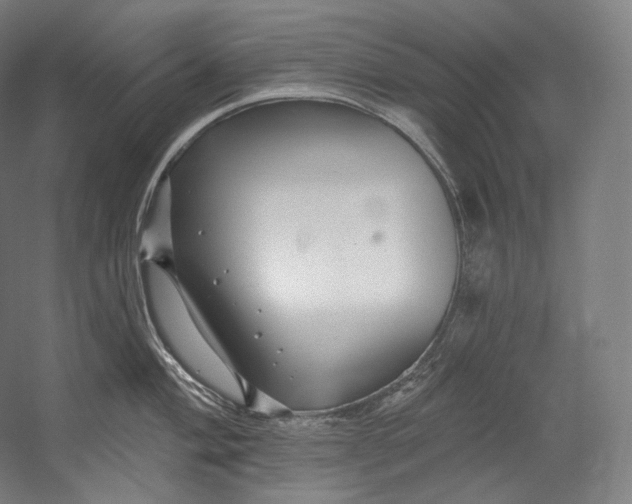 X0000055211004200508301317.png
