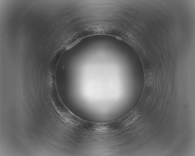 X0000055060456200508161650.png
