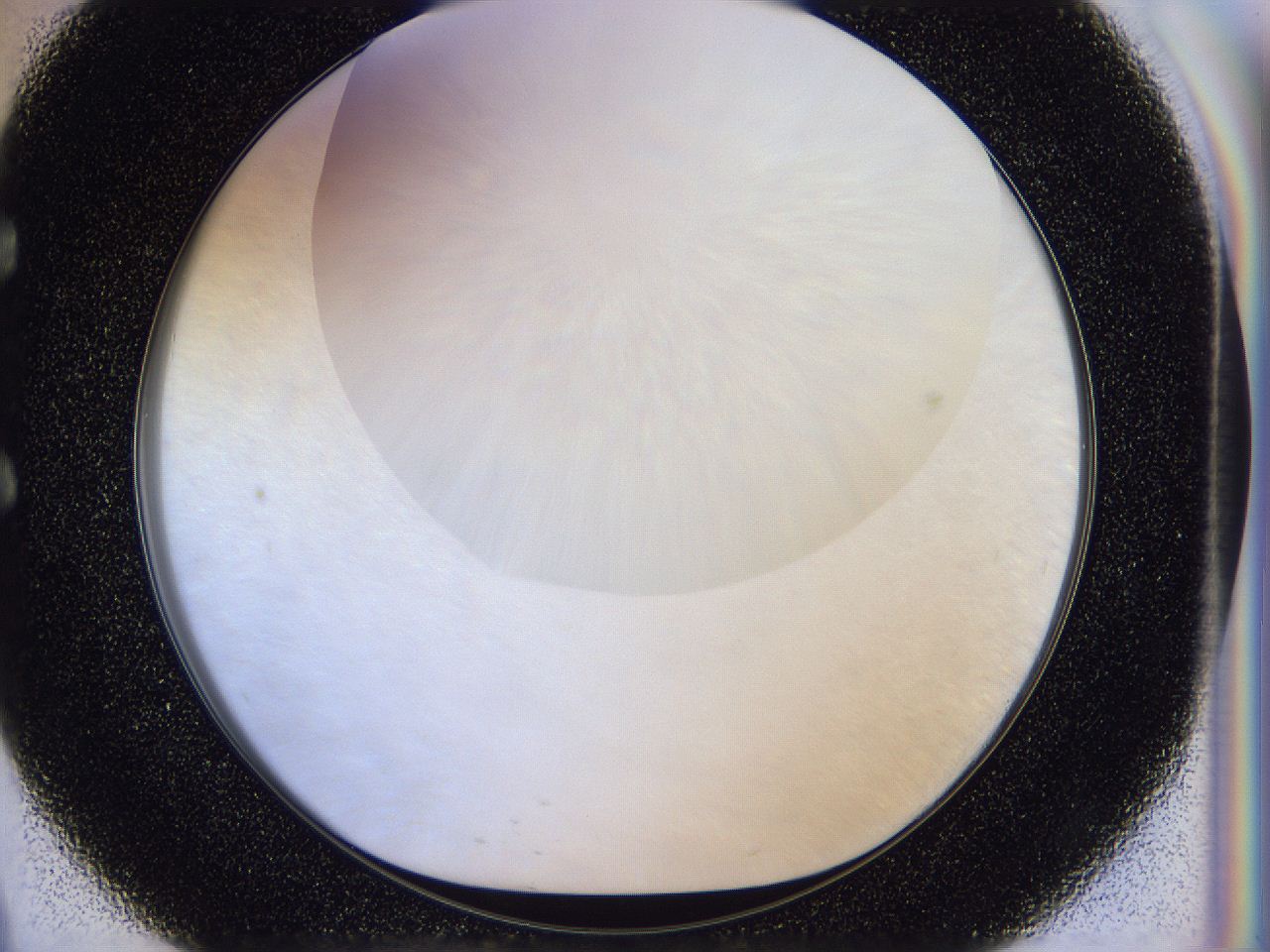056b_E9_ImagerDefaults_0.jpg