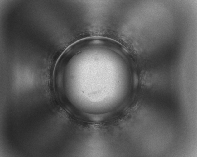 X0000045450713200502011657.png