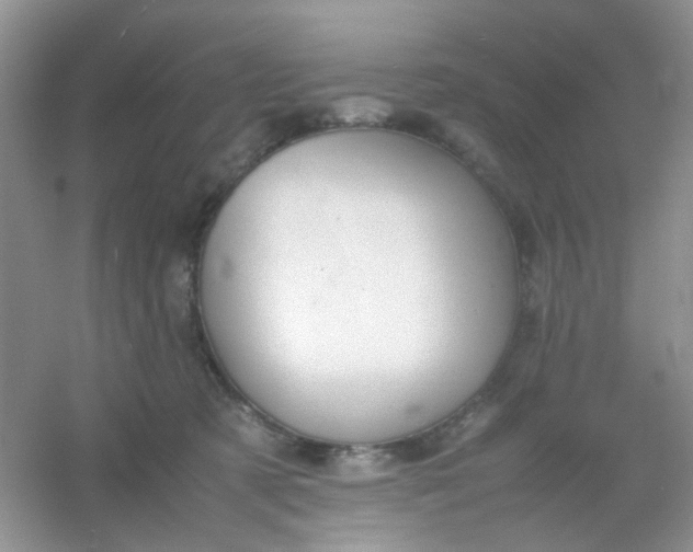 X0000054330321200508111926.png