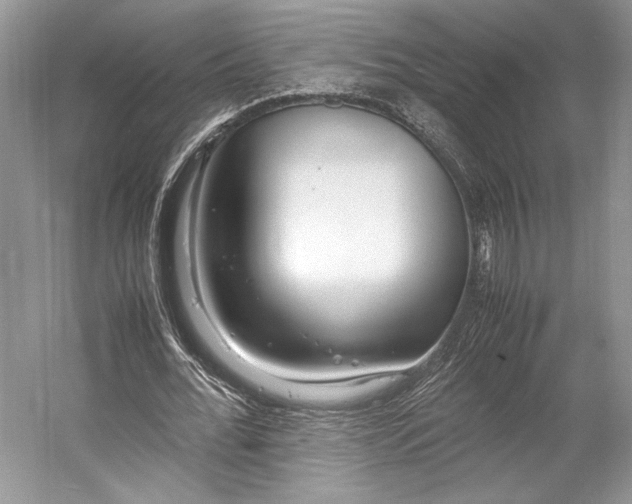 X0000055060676200508161646.png