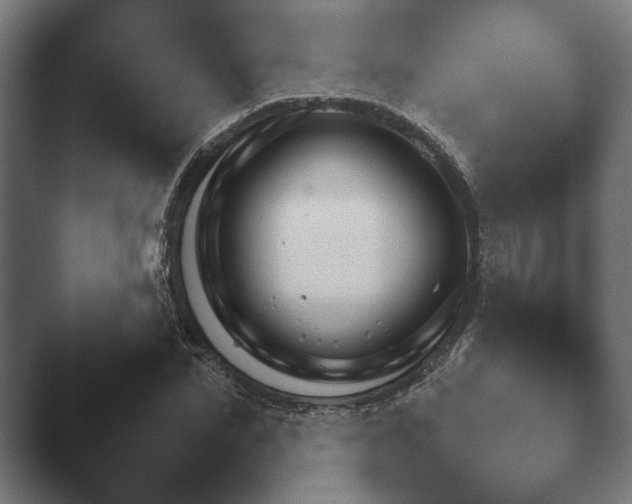X0000047470974200503091555.png