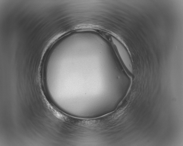 X0000055210995200508301317.png