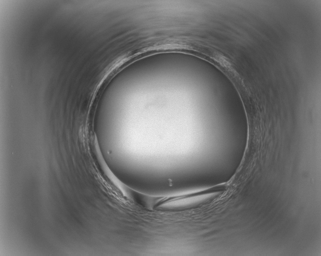 X0000055061181200508161638.png