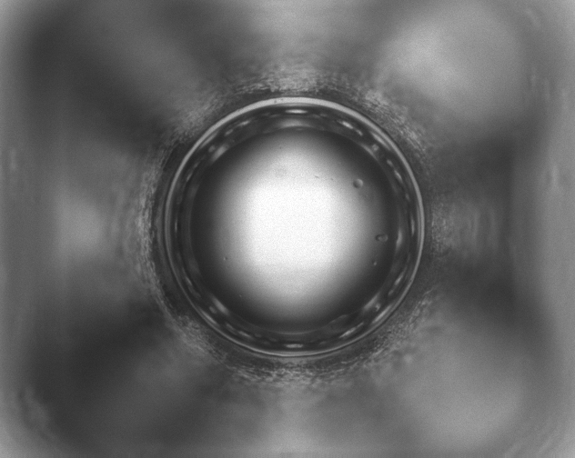 X0000046380538200502141047.png