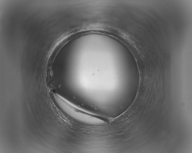 X0000055211312200508301311.png