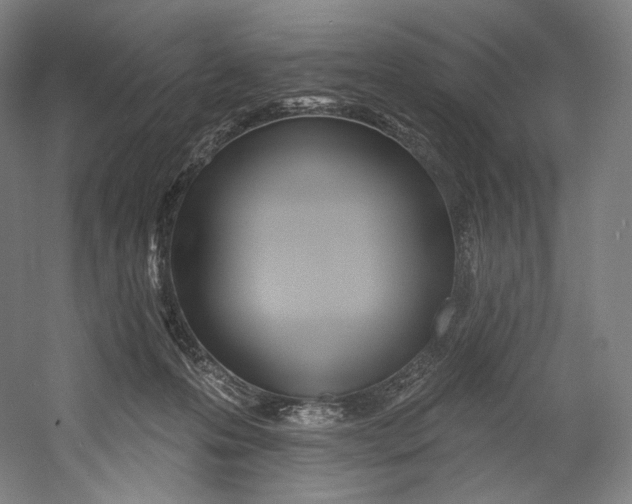 X0000055210223200508301330.png