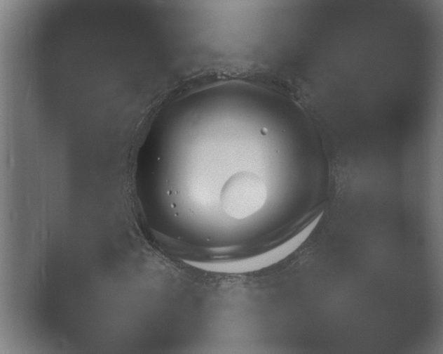 X0000054931345200508291621.png
