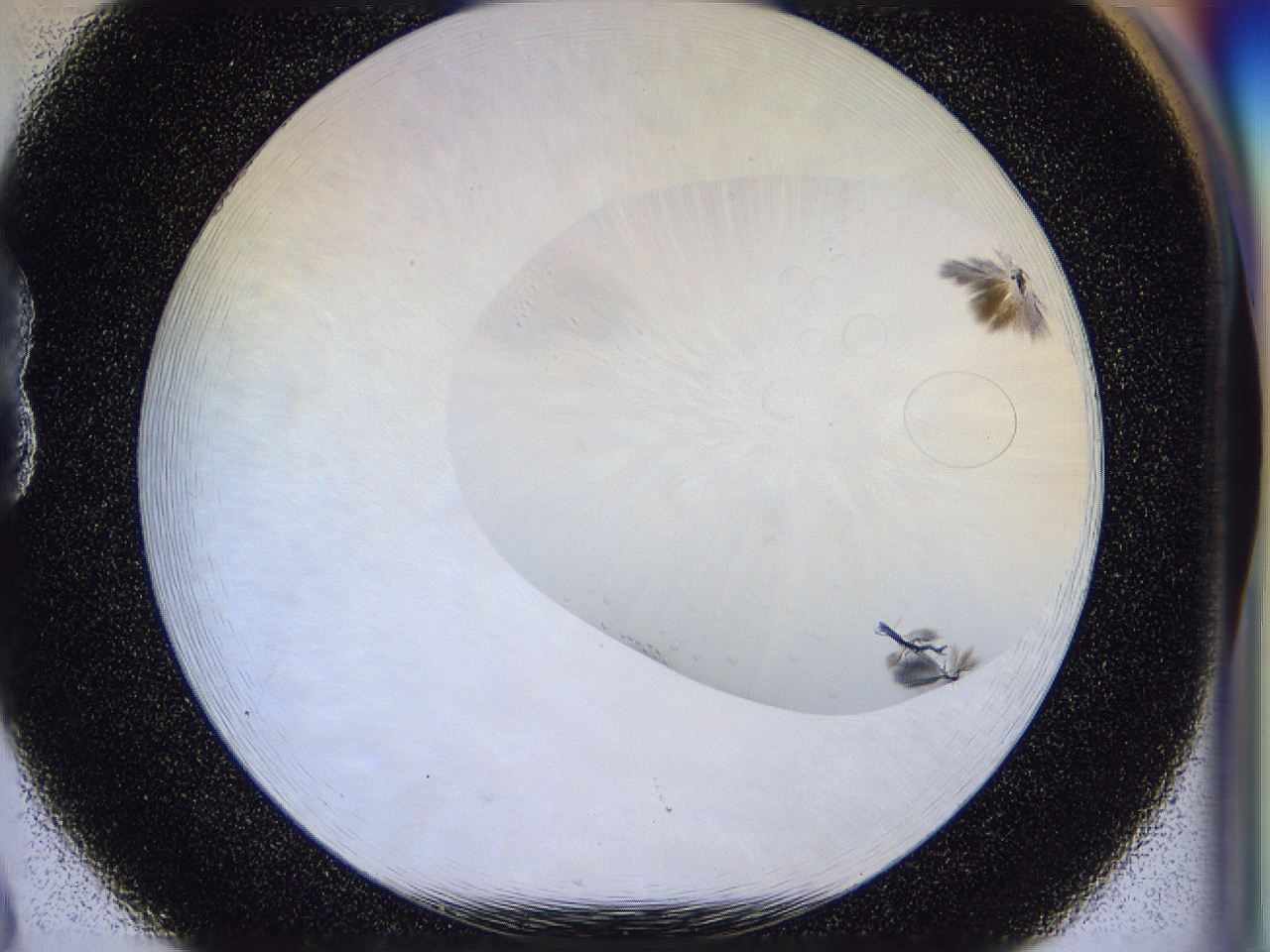 056b_B8_ImagerDefaults_7.jpg