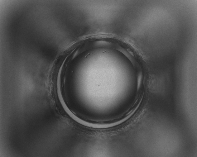 X0000047501402200503161501.png