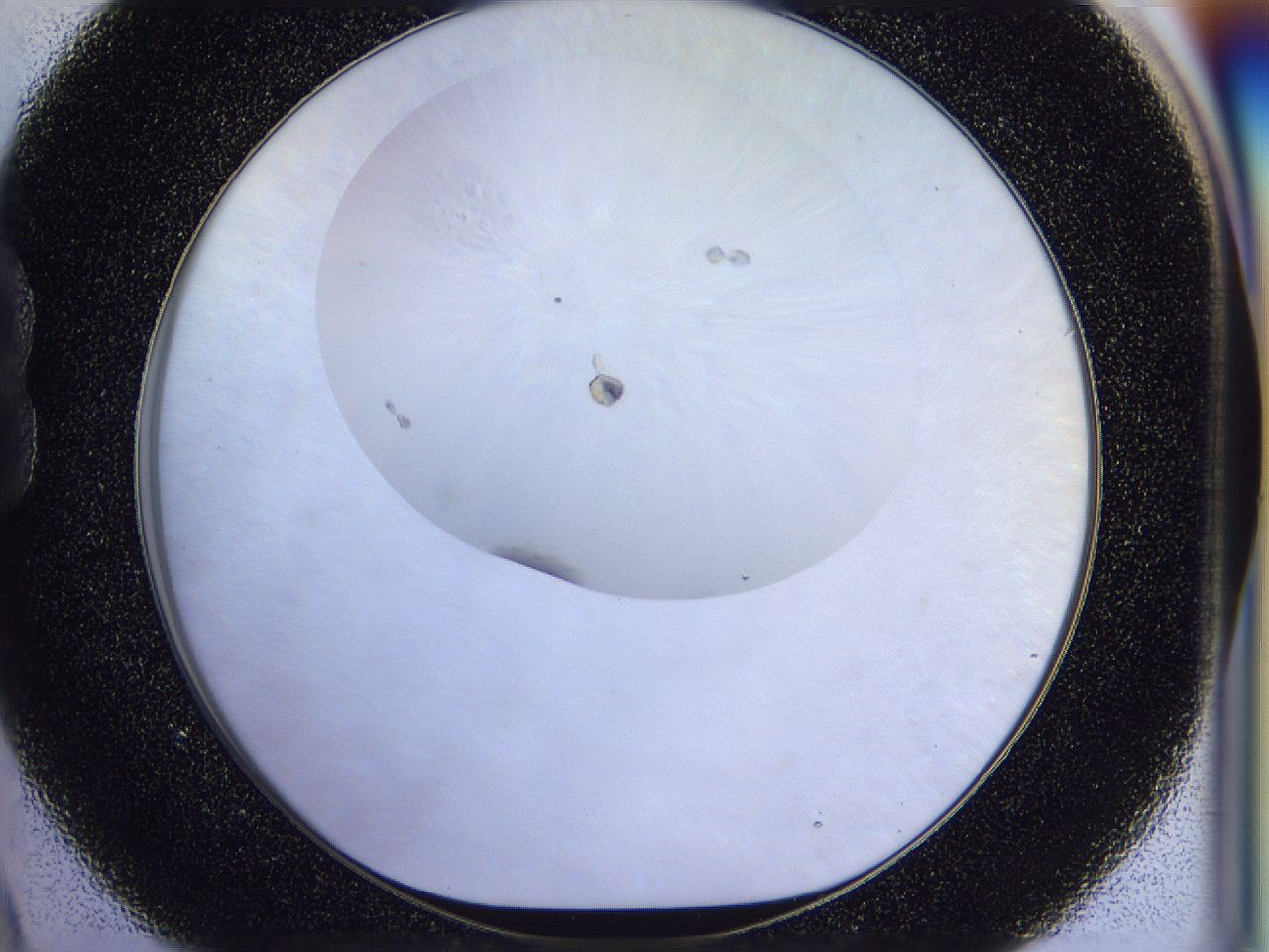 056b_B9_ImagerDefaults_7.jpg