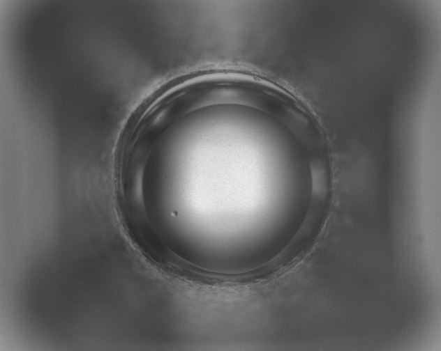 X0000052150008200507052003.png