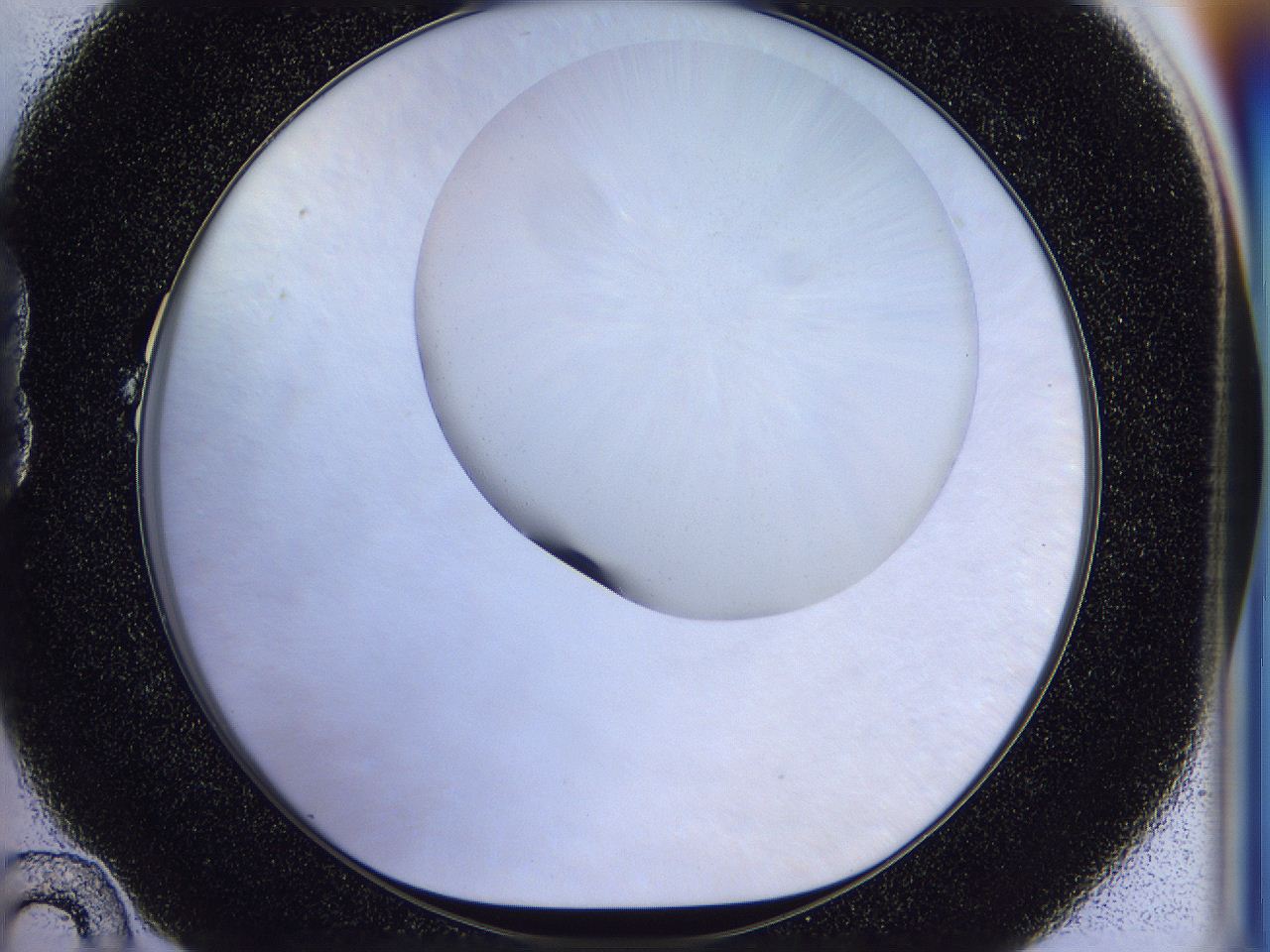 056b_B10_ImagerDefaults_0.jpg
