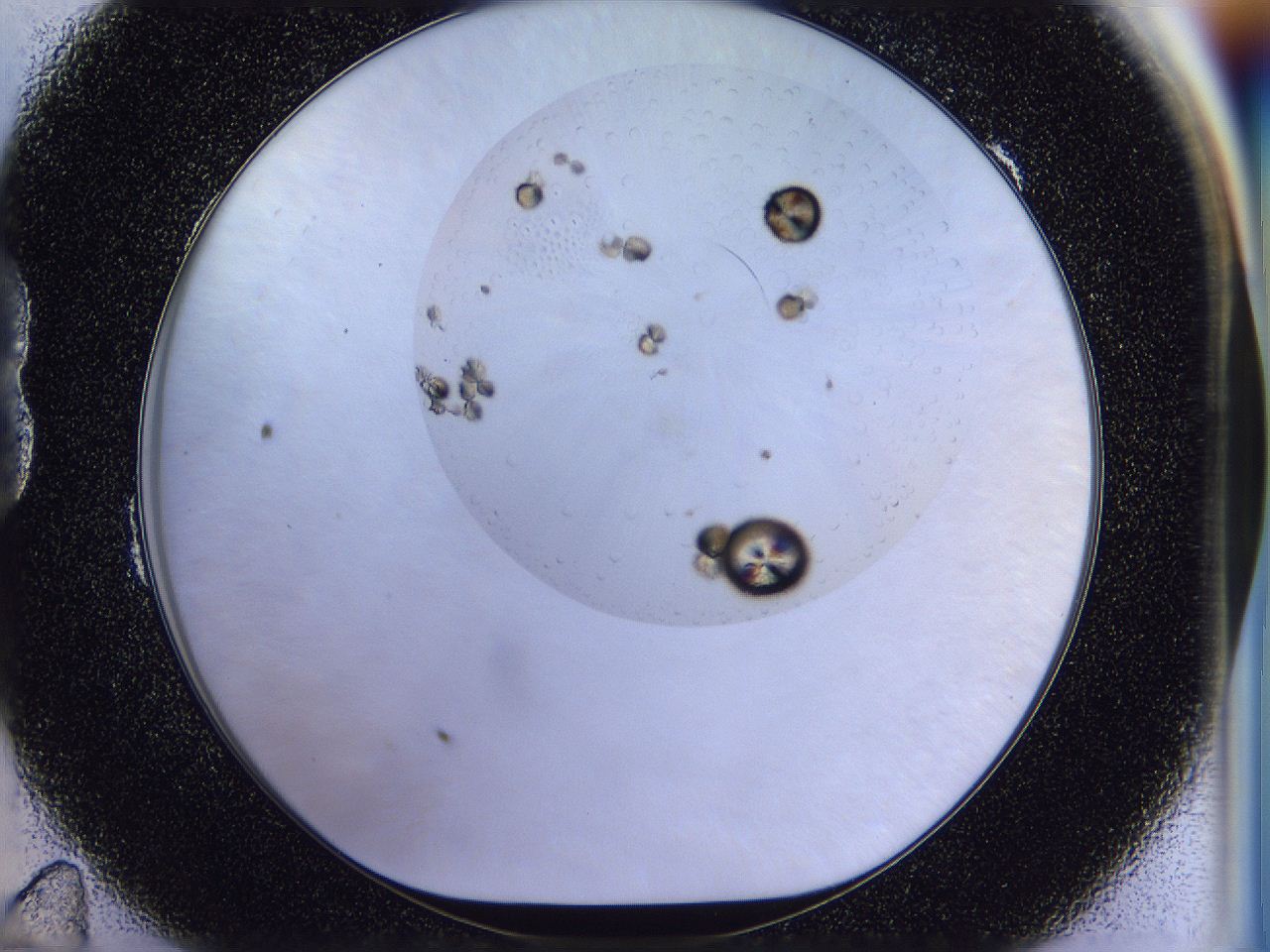 056b_B11_ImagerDefaults_7.jpg