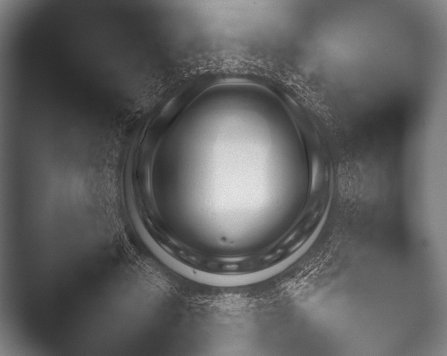 X0000052020449200507181631.png