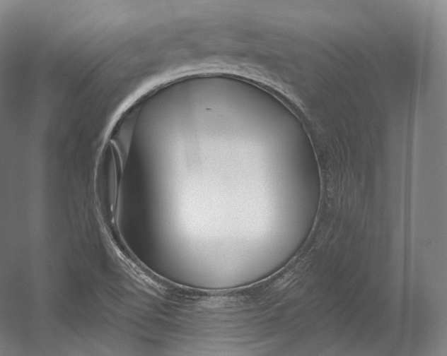 X0000055211510200508301308.png
