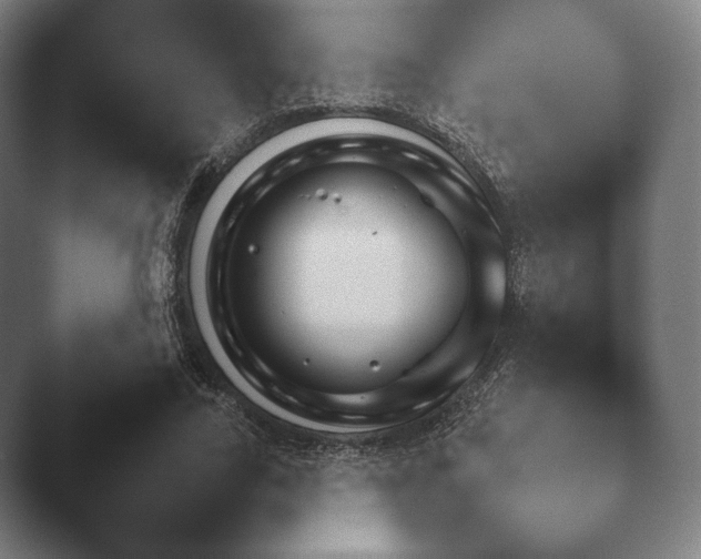 X0000045450731200502011656.png