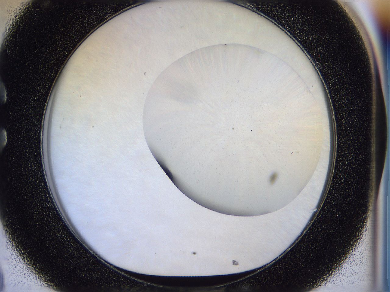 056b_C8_ImagerDefaults_0.jpg