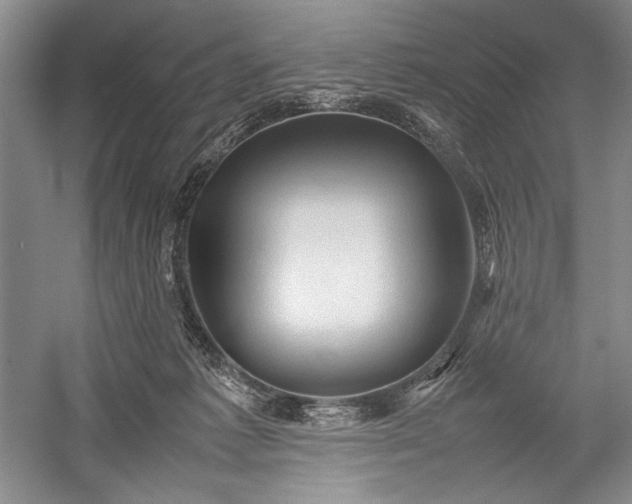 X0000055060221200508161654.png