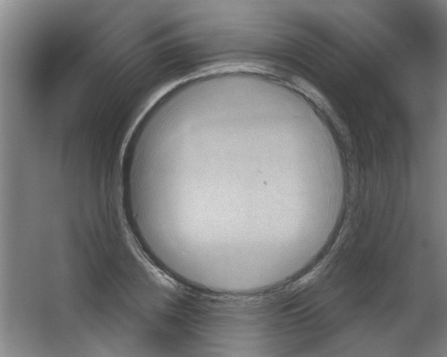 X0000053460836200508112155.png
