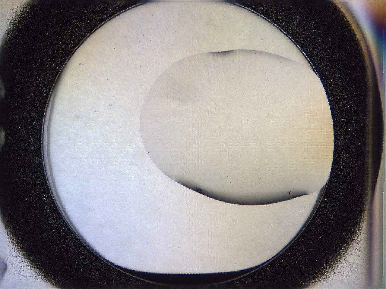 056b_C7_ImagerDefaults_0.jpg