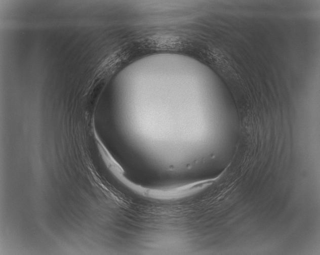 X0000055250744200509071615.png
